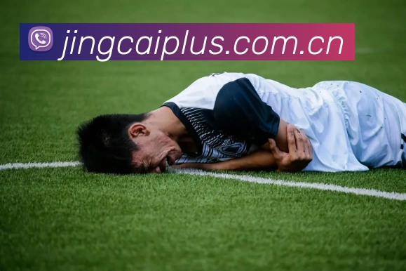 竞彩网 足球赛事服务矩阵